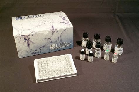 abvonex elisa kit|Human IFN gamma ELISA Kit .